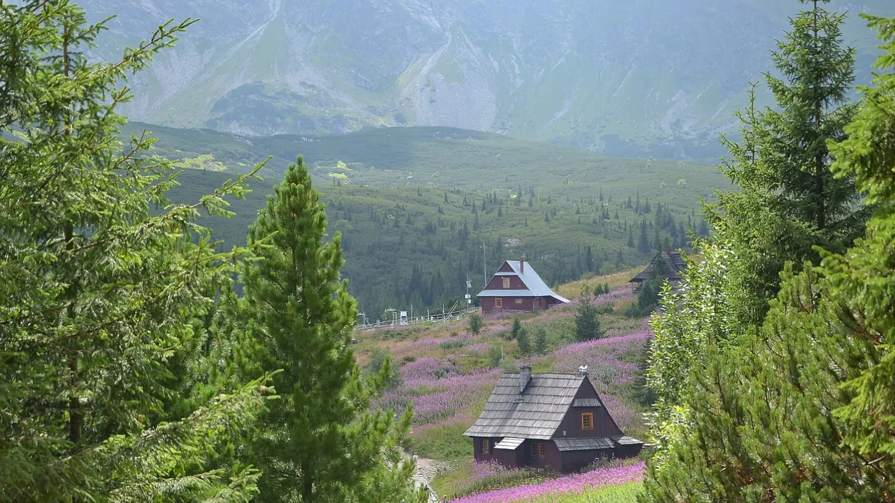 Strony Internetowe Zakopane