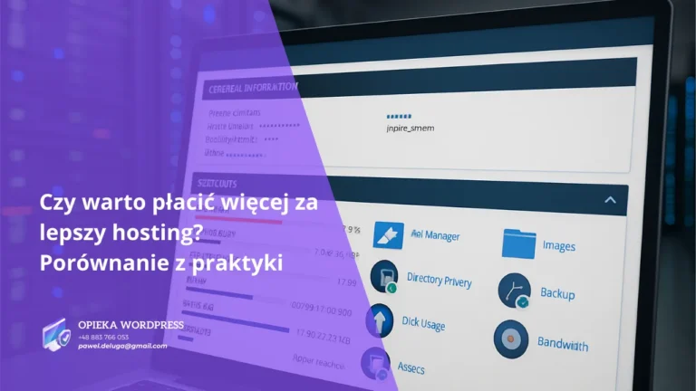 Widok pulpitu hostingowego z wykresem obciążenia i dostępem do plików