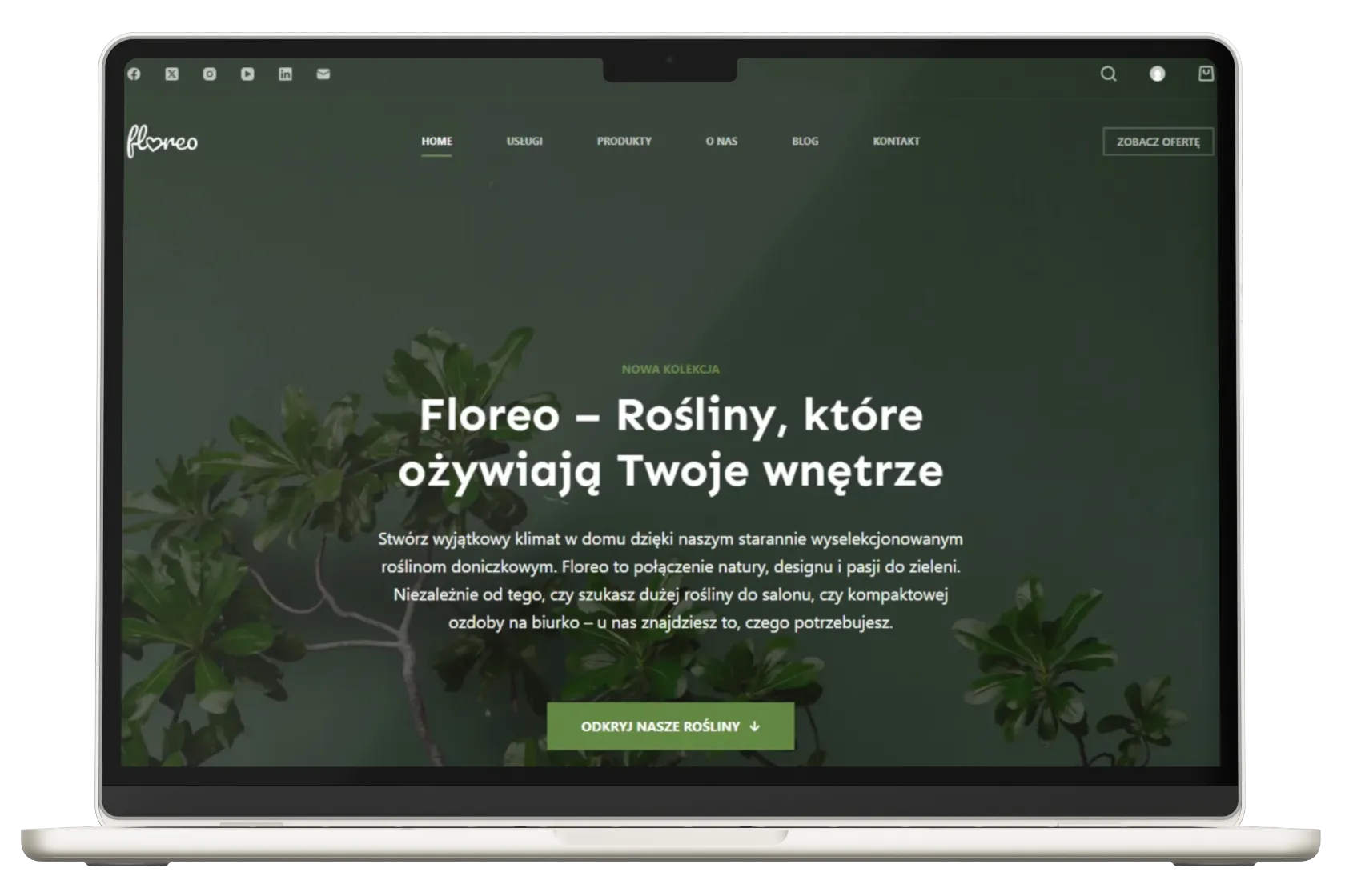 Profesjonalna strona internetowa dla Twojej Firmy